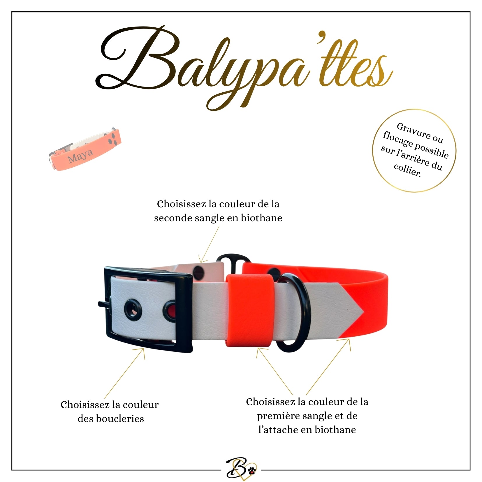 Collier personnalisé pour chien en biothane MAYA, en 25mm