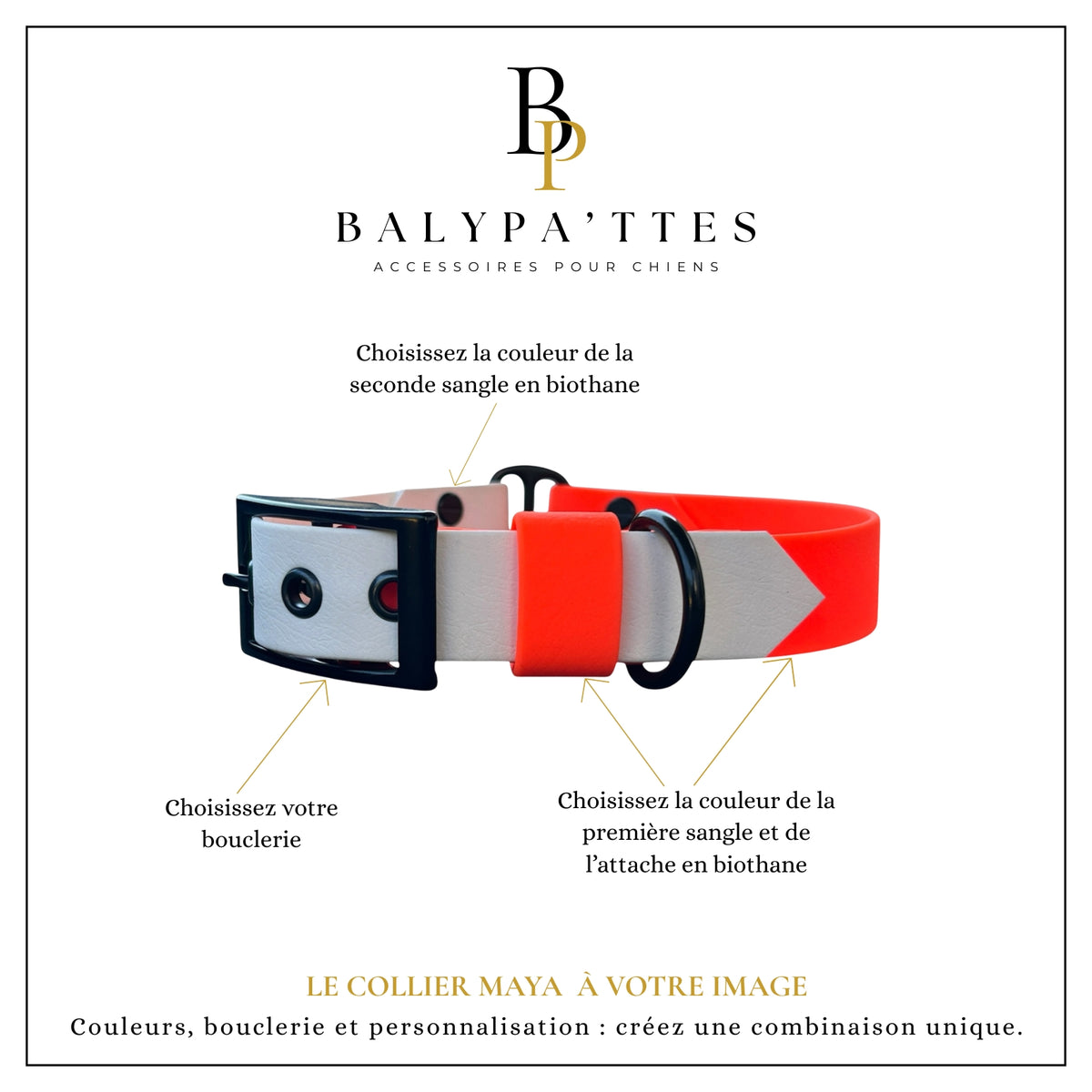 Collier personnalisé pour chien en biothane MAYA, en 16mm