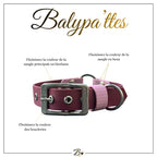 Collier personnalisé pour chien en biothane et hexa PIPA, en 16mm