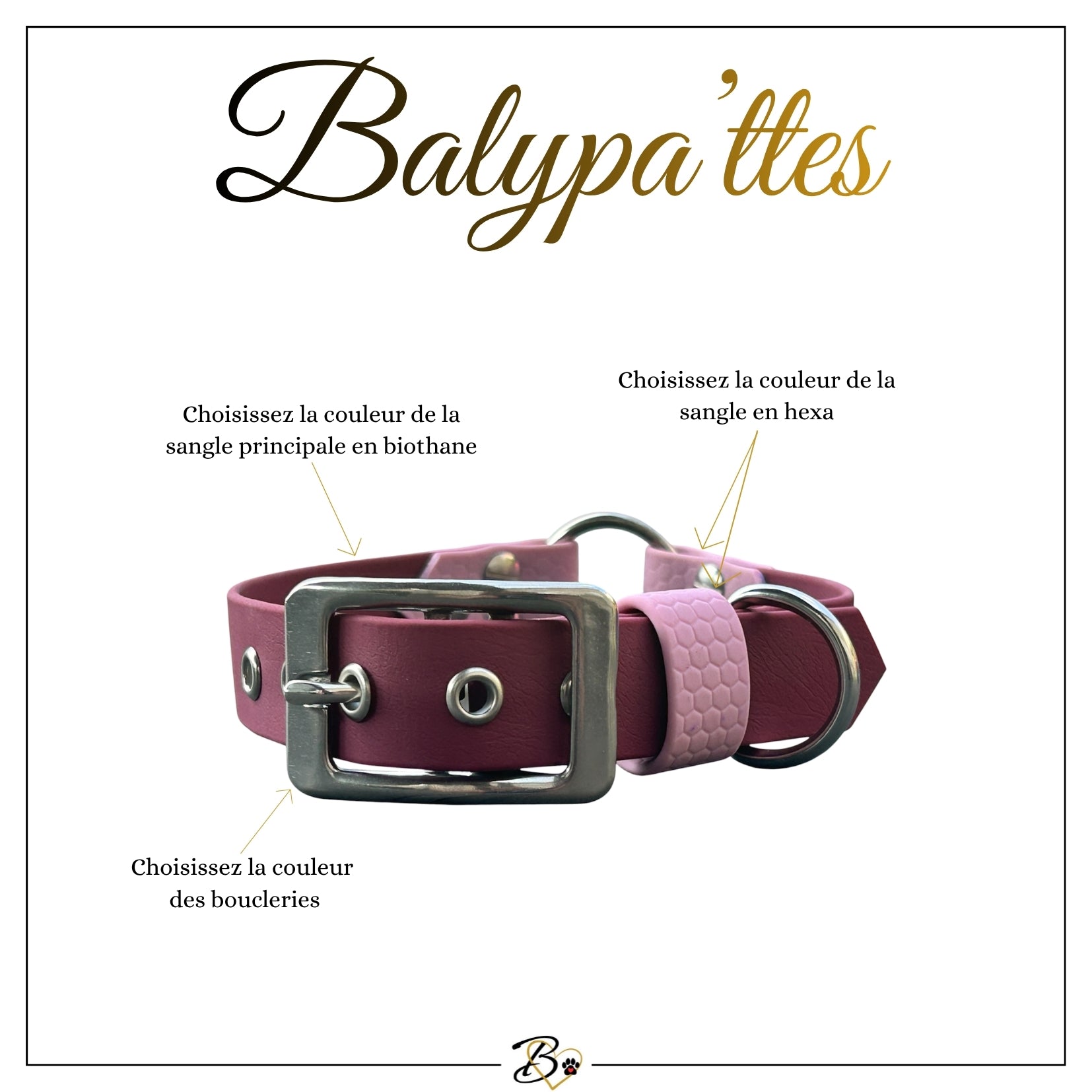 Collier personnalisé pour chien en biothane et hexa PIPA, en 16mm