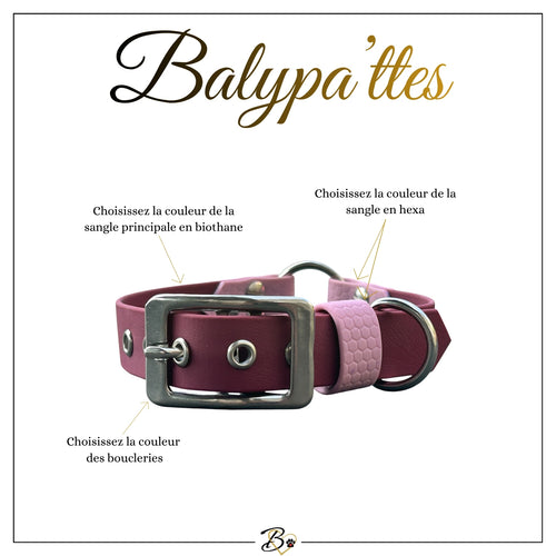Collier personnalisé pour chien en biothane et hexa PIPA, en 16mm