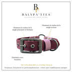 Collier personnalisé pour chien en biothane et hexa PIPA, en 16mm