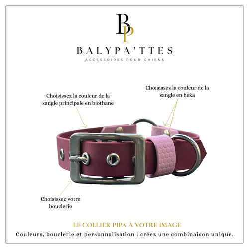 Collier personnalisé pour chien en biothane et hexa PIPA, en 19mm