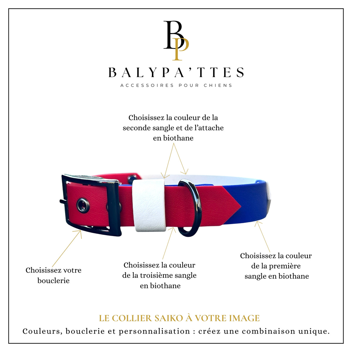 Collier personnalisé pour chien en biothane SAIKO, en 16mm