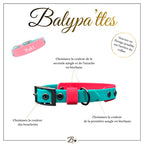 Collier personnalisé pour chien en biothane YUKI, en 16mm