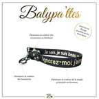 Extension de laisse personnalisée pour chien, unie en biothane, en 25mm
