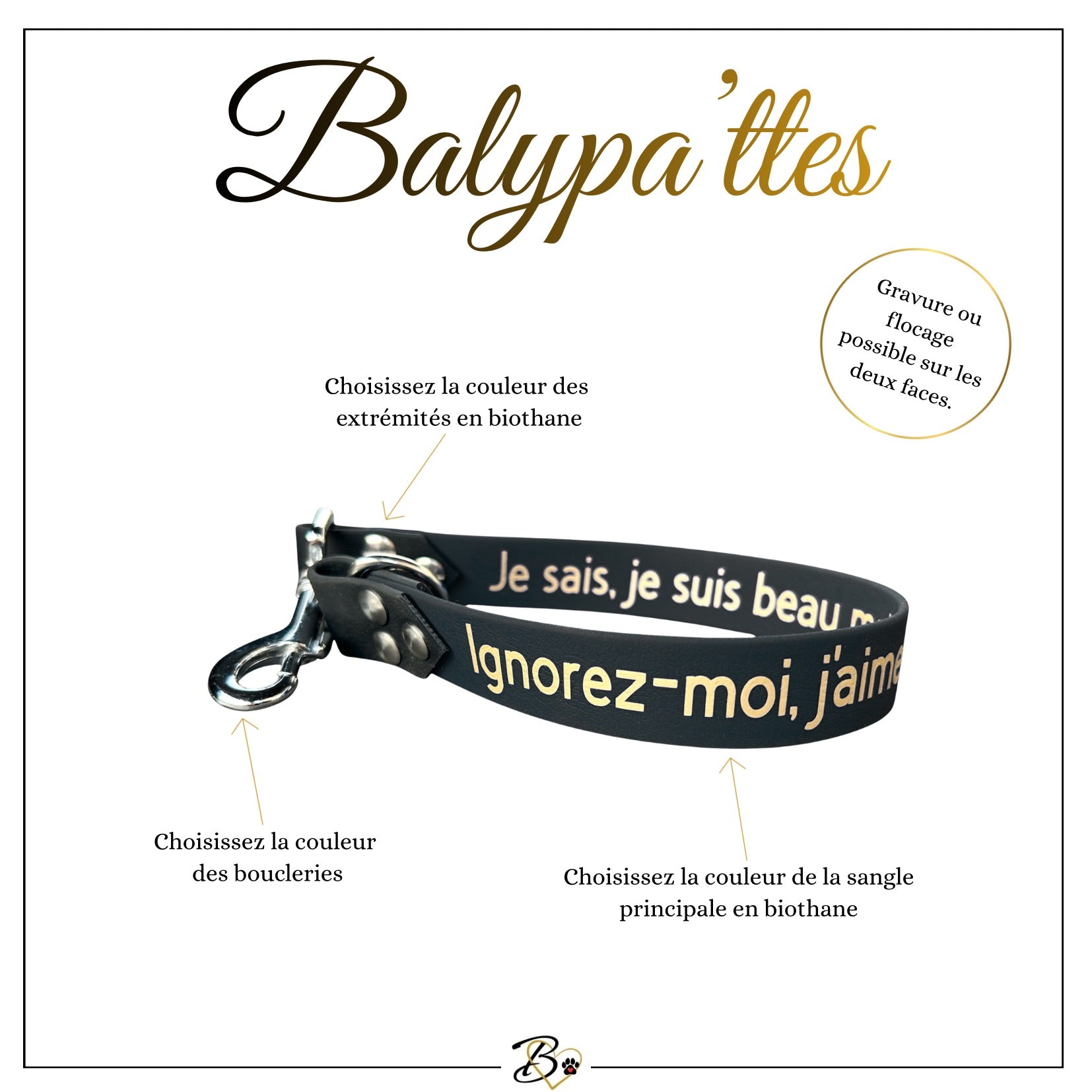 Extension de laisse personnalisée pour chien, unie en biothane, en 25mm