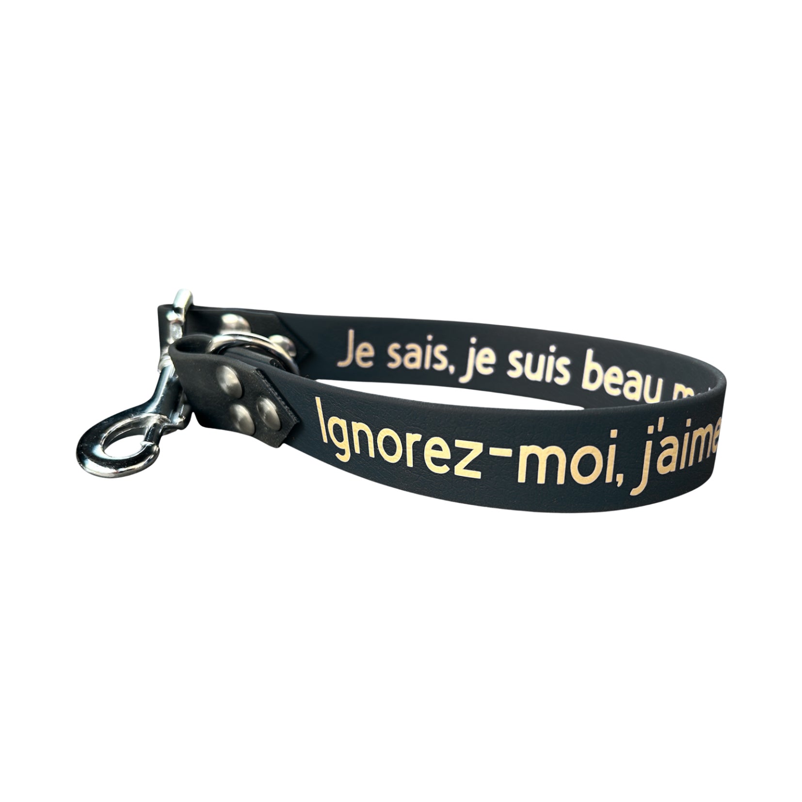 Extension de laisse personnalisée pour chien, unie en biothane, en 25mm