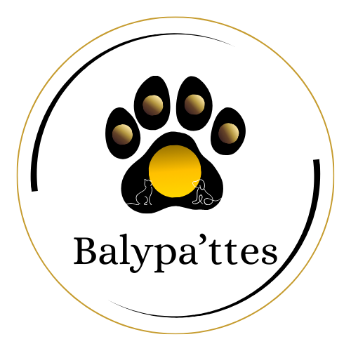 Balypa'ttes