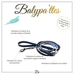 Laisse personnalisée pour chien, bicolore en biothane, en 25mm