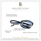 Laisse personnalisée pour chien, bicolore en biothane, en 19mm