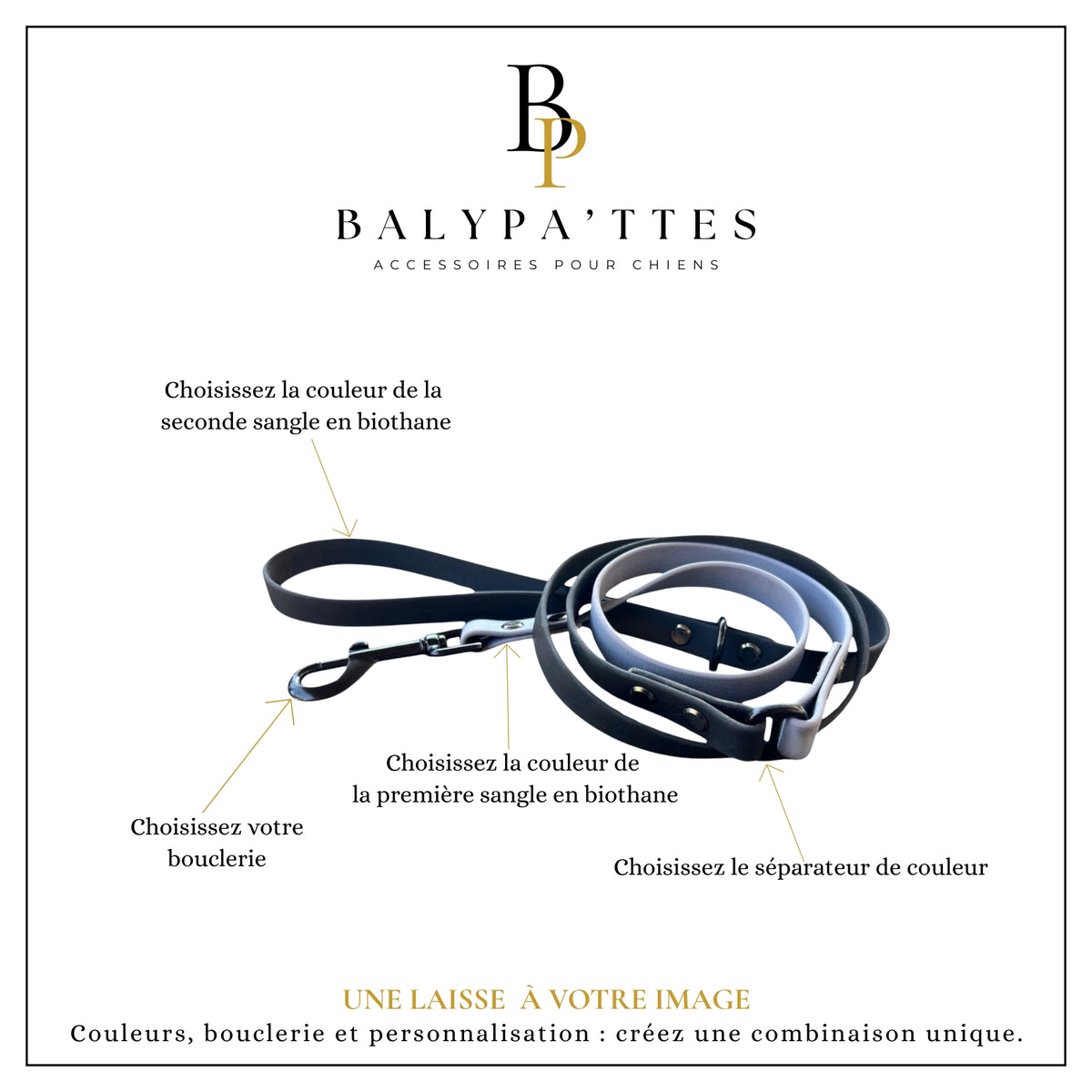 Laisse personnalisée pour chien, bicolore en biothane, en 25mm