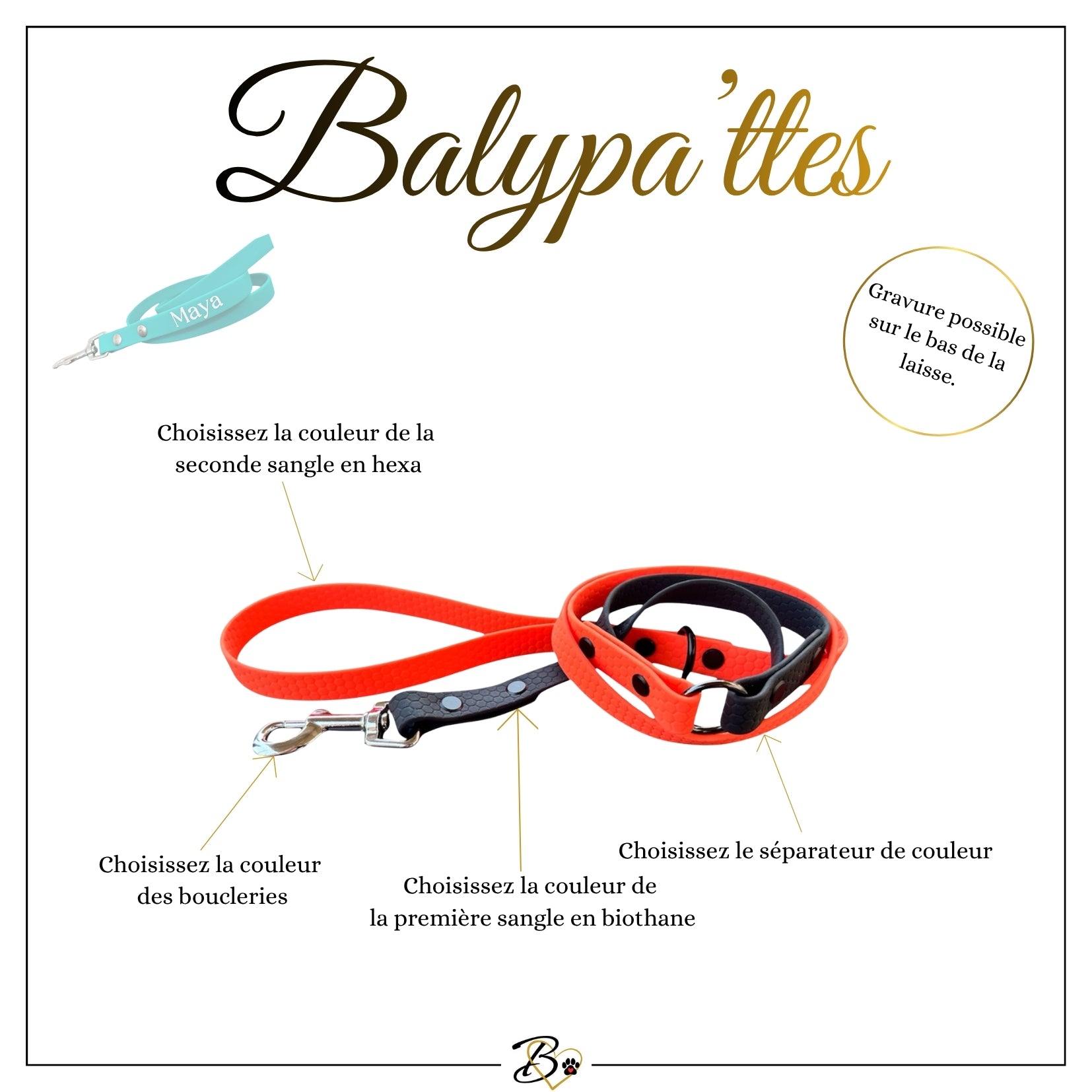 Laisse personnalisée pour chien, bicolore en hexa, en 25mm