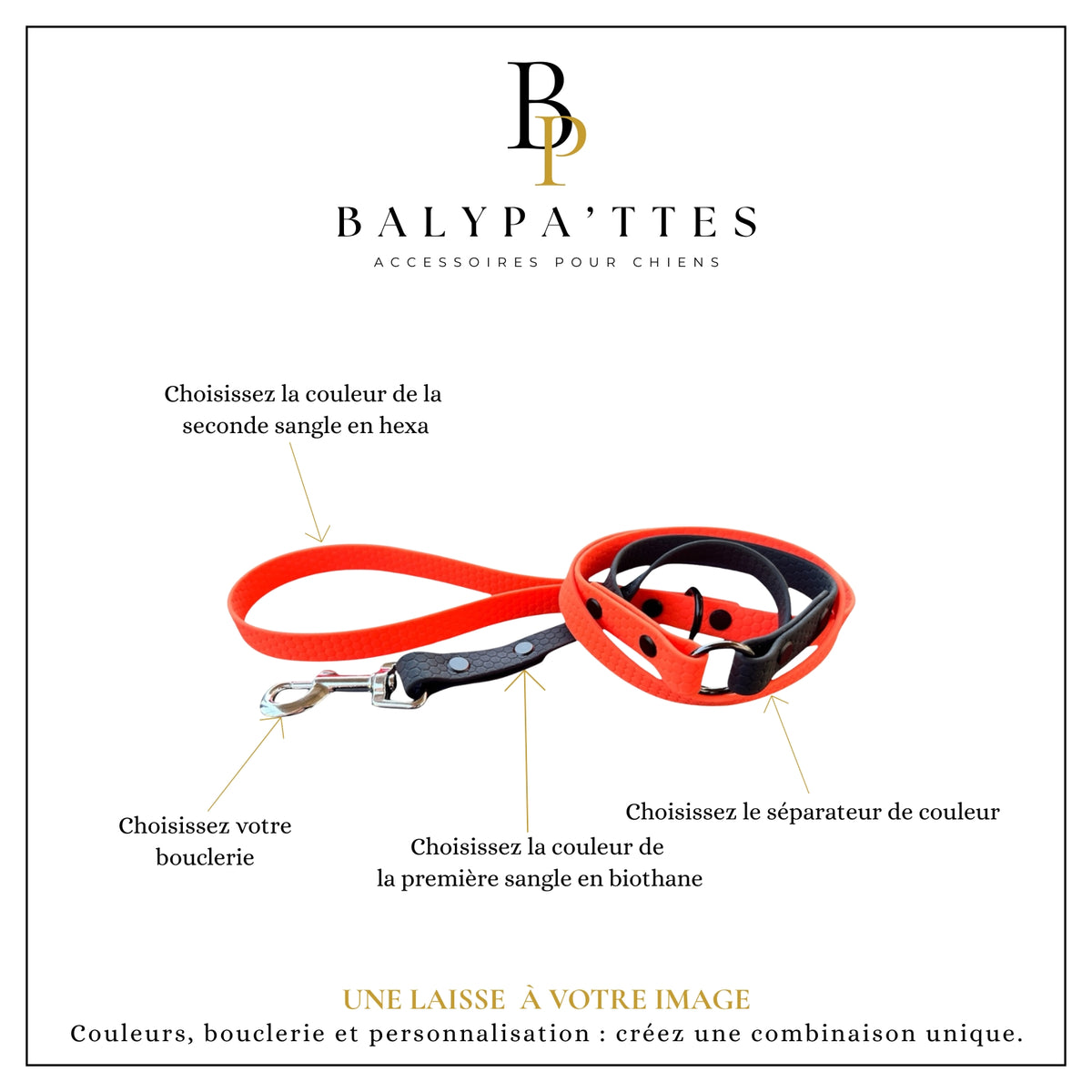 Laisse personnalisée pour chien, bicolore en hexa, en 25mm
