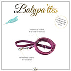 Laisse personnalisée pour chien, unie en biothane, en 19mm