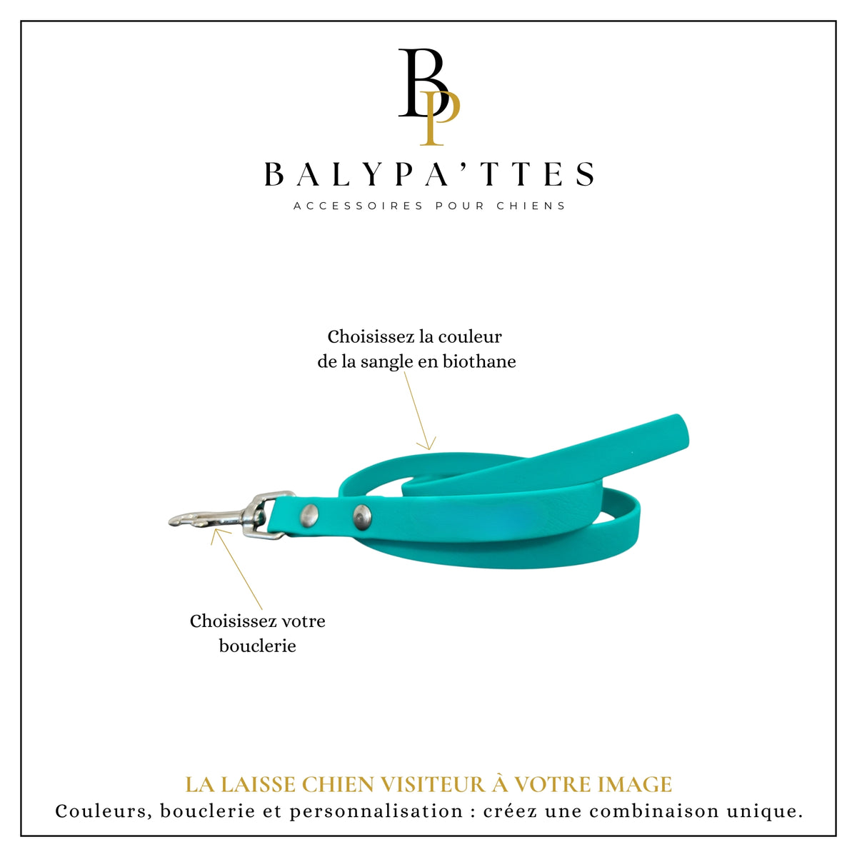 Laisse personnalisée pour chien visiteur, unie en biothane