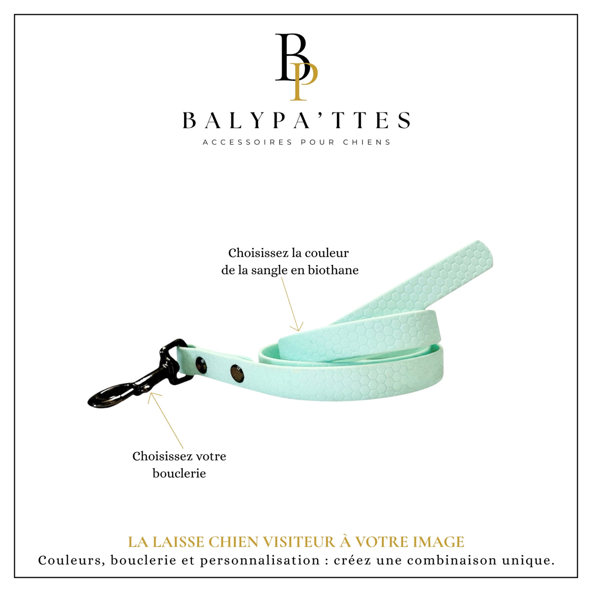 Laisse personnalisée pour chien visiteur, unie en hexa