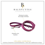 Laisse personnalisée pour chien, unie en biothane, en 19mm