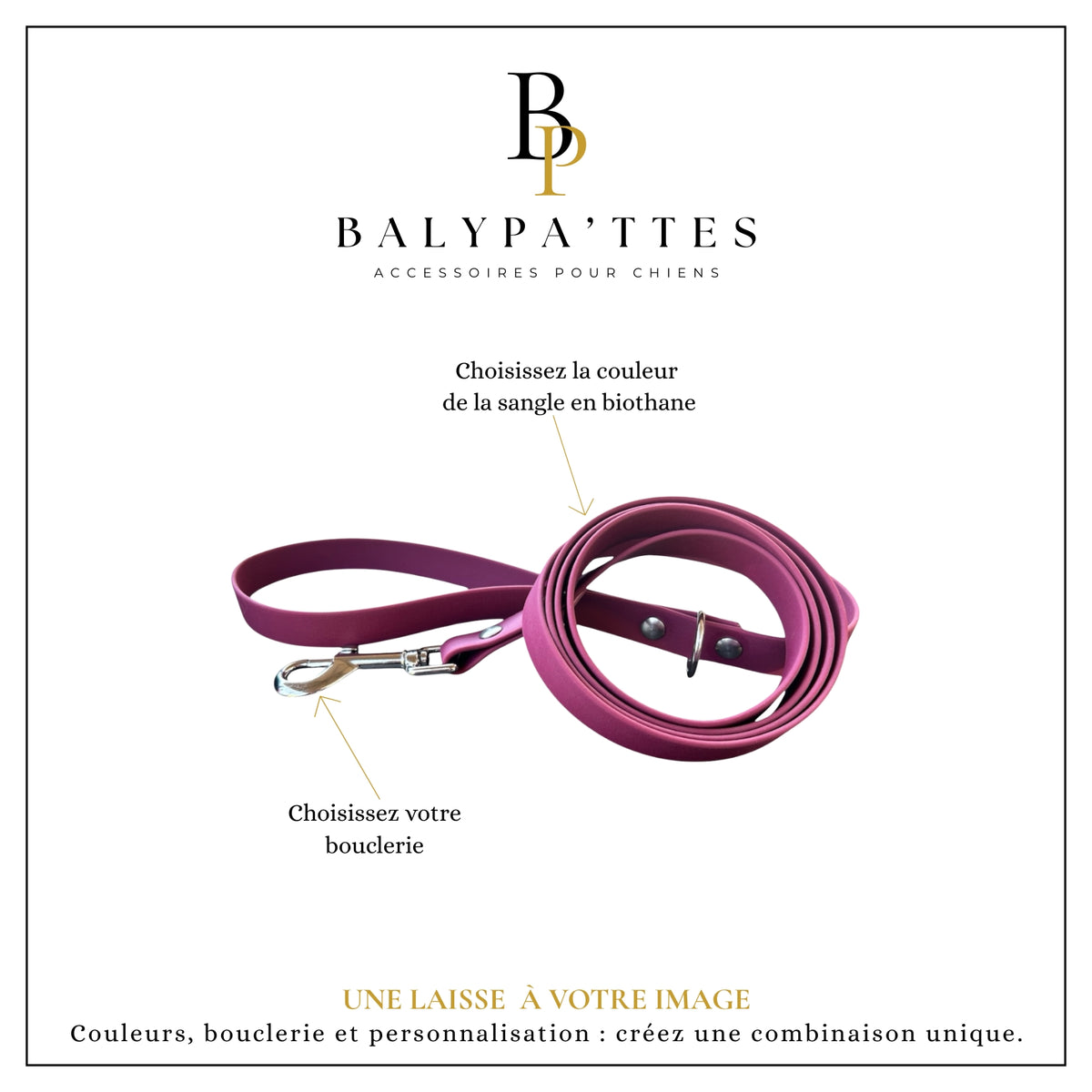 Laisse personnalisée pour chien, unie en biothane, en 19mm