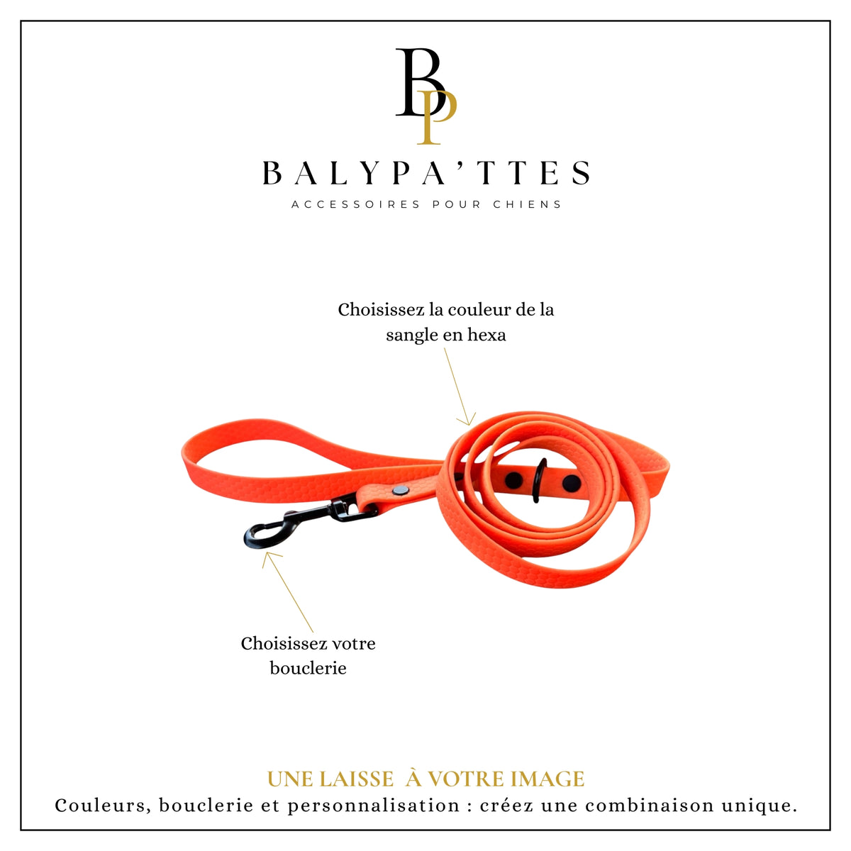 Laisse personnalisée pour chien, unie en hexa, en 25mm