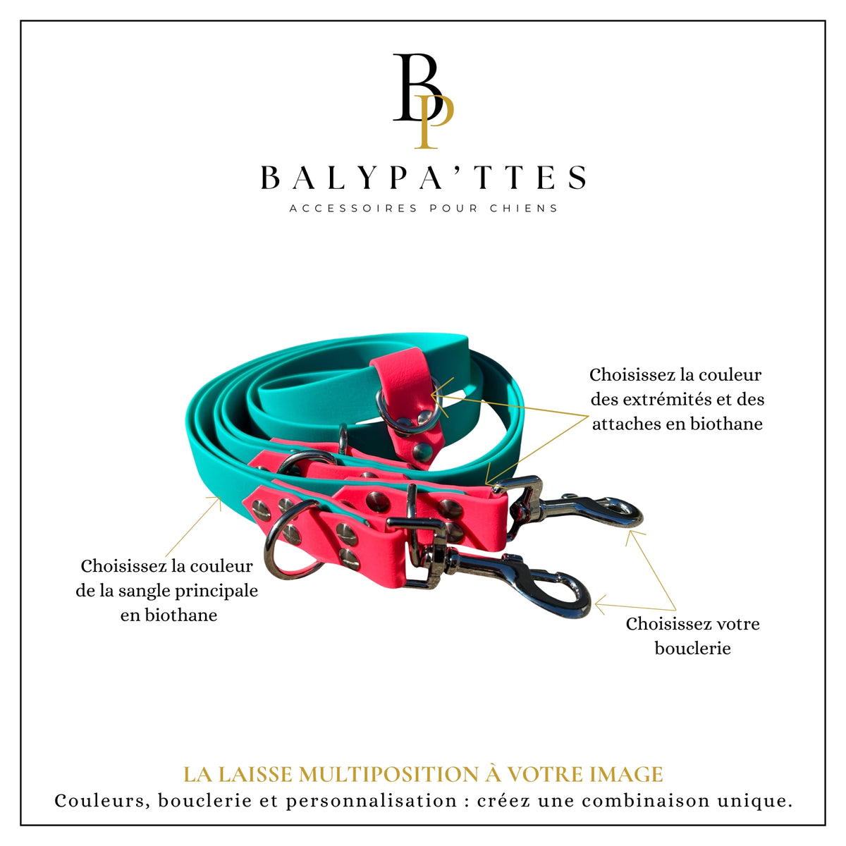 Laisse multiposition personnalisée pour chien, bicolore en biothane