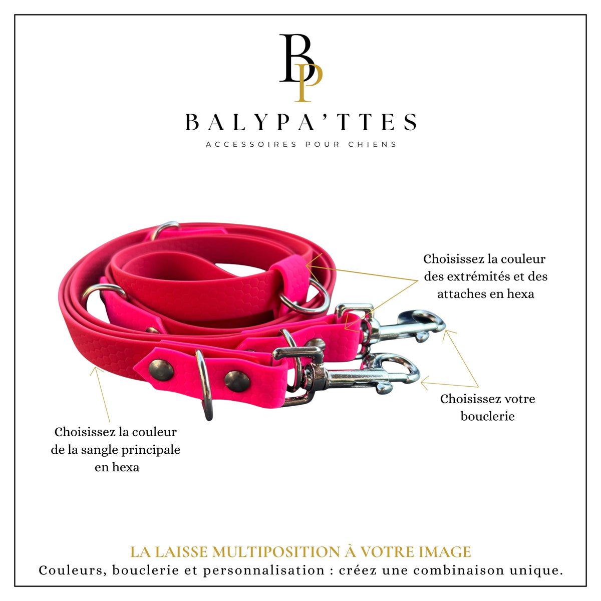 Laisse multiposition personnalisée pour chien, bicolore en hexa