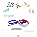 Laisse personnalisée pour chien, tricolore en biothane, en 25mm