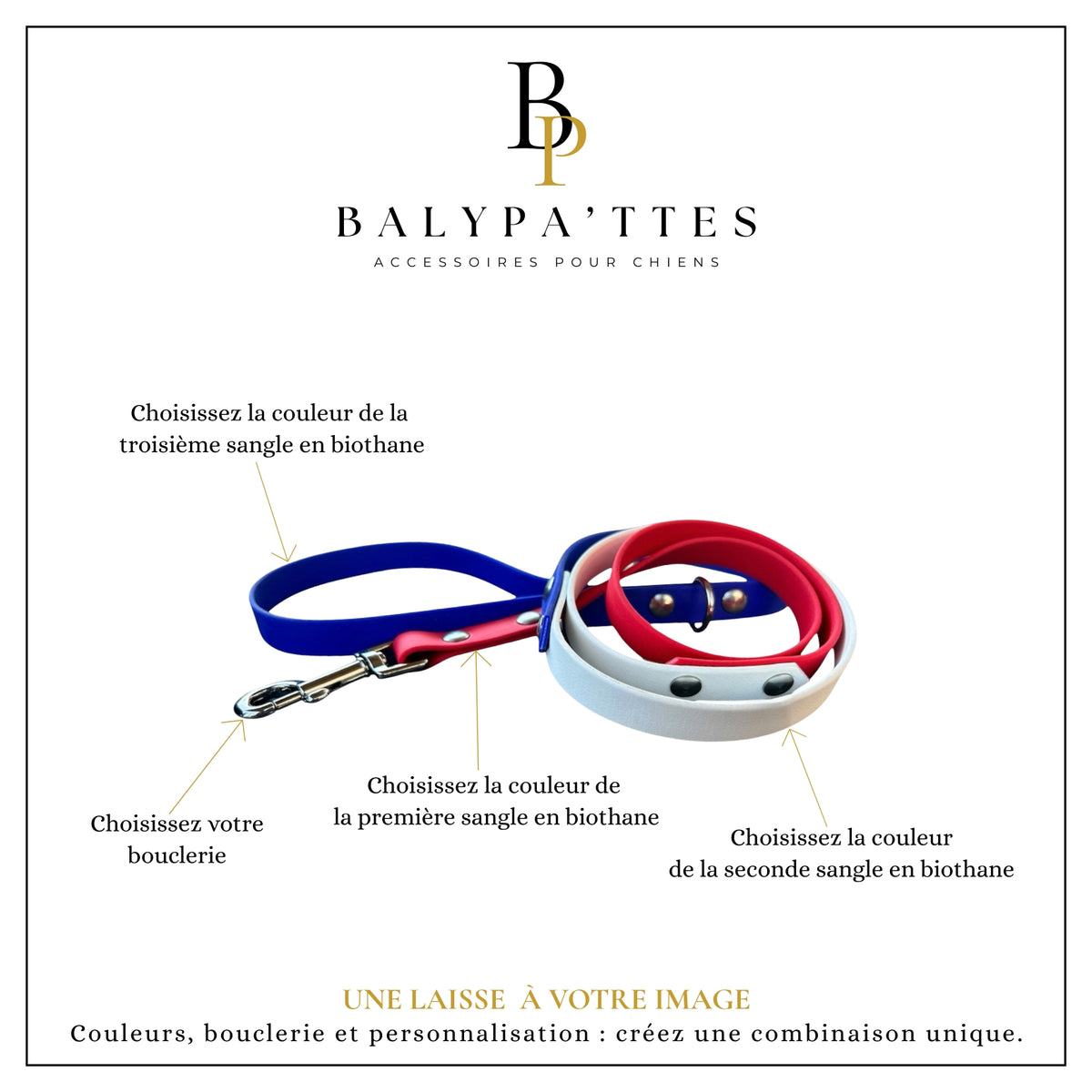 Laisse personnalisée pour chien, tricolore en biothane, en 25mm