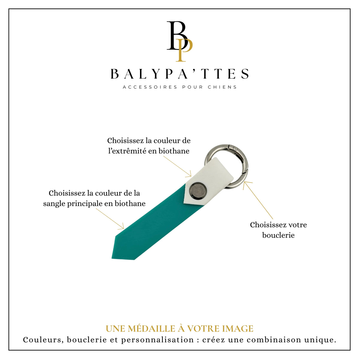 Médaille personnalisée pour chien, bicolore en biothane, en 19mm