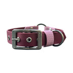 Collier personnalisé pour chien en biothane et hexa PIPA, en 19mm