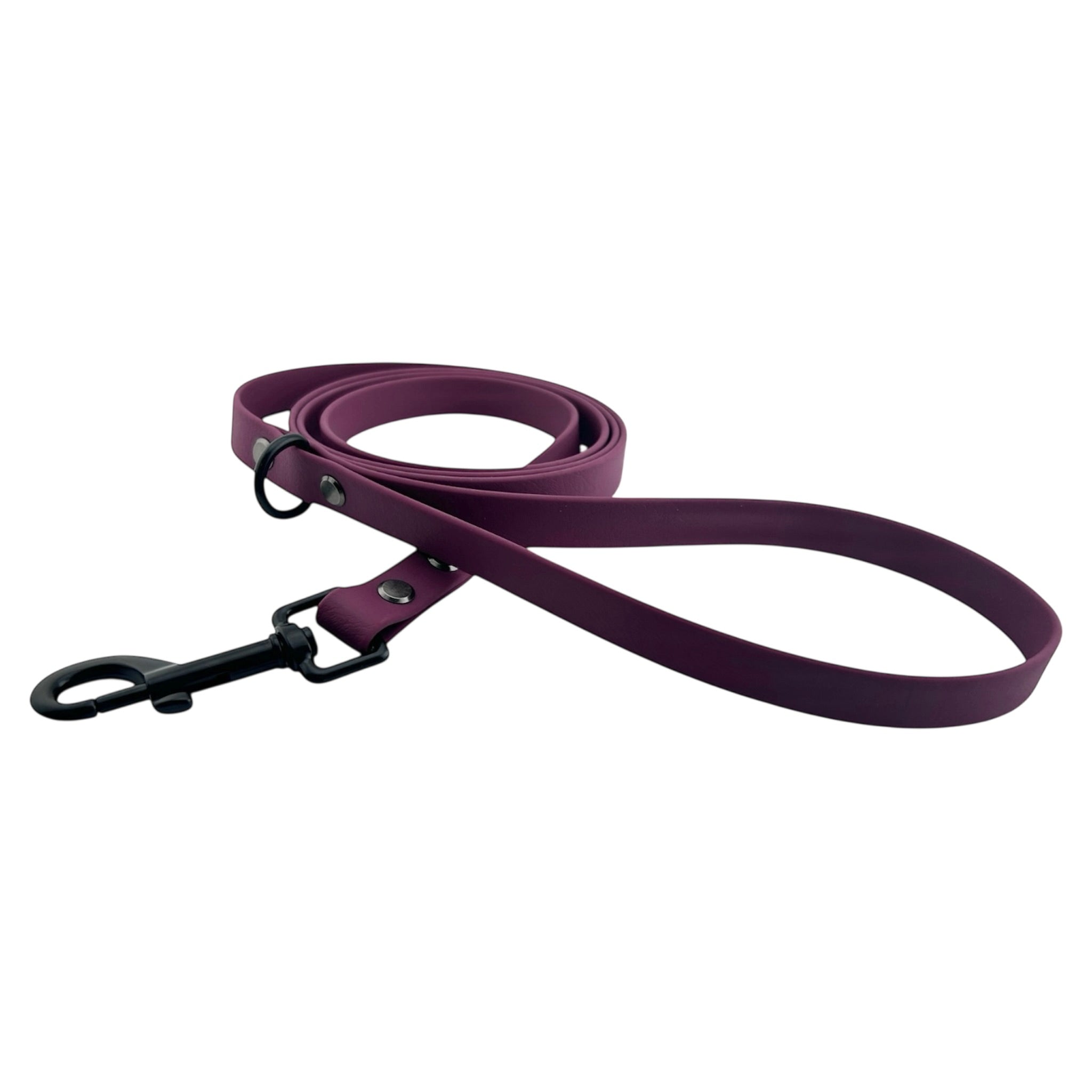 Laisse en biothane 16mm