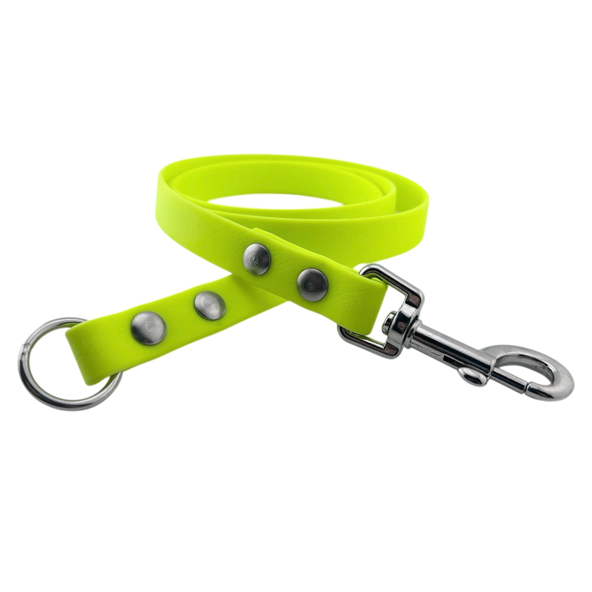 Laisse en biothane 16mm