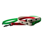 Laisse tricolore en biothane 16mm