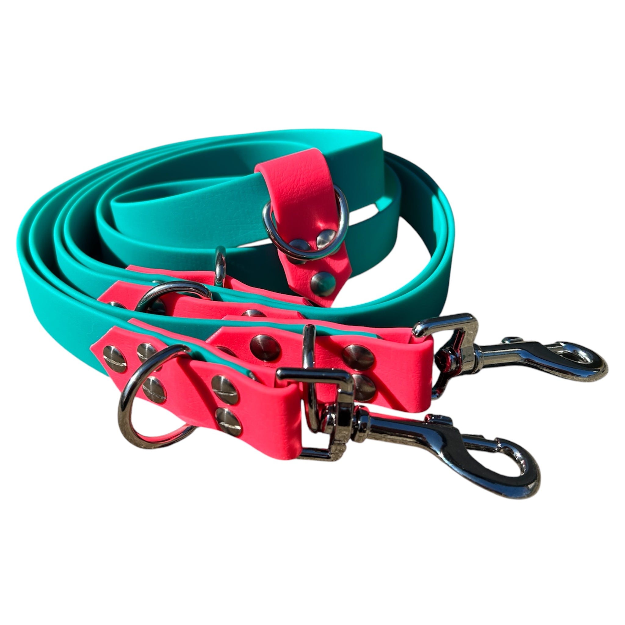 Laisse multiposition personnalisée pour chien, bicolore en biothane