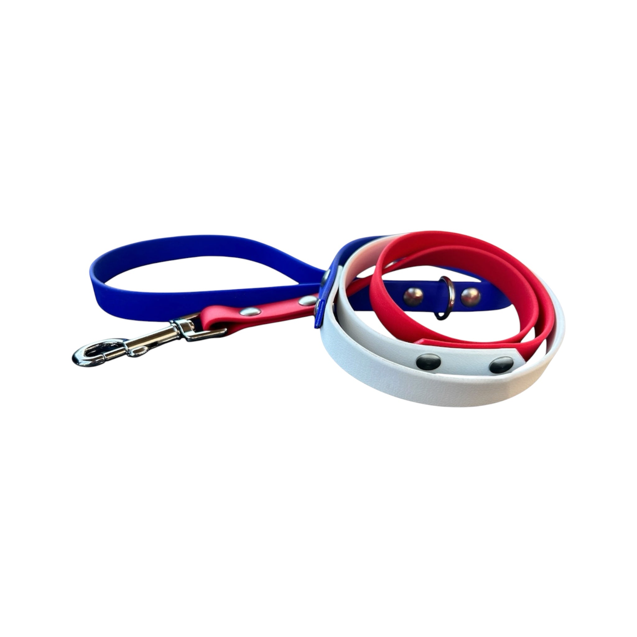 Laisse personnalisée pour chien, tricolore en biothane, en 25mm