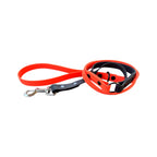 Laisse personnalisée pour chien, bicolore en hexa, en 25mm