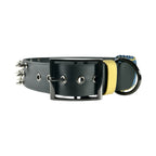 Collier personnalisé pour chien en biothane LAÏCO, en 38mm