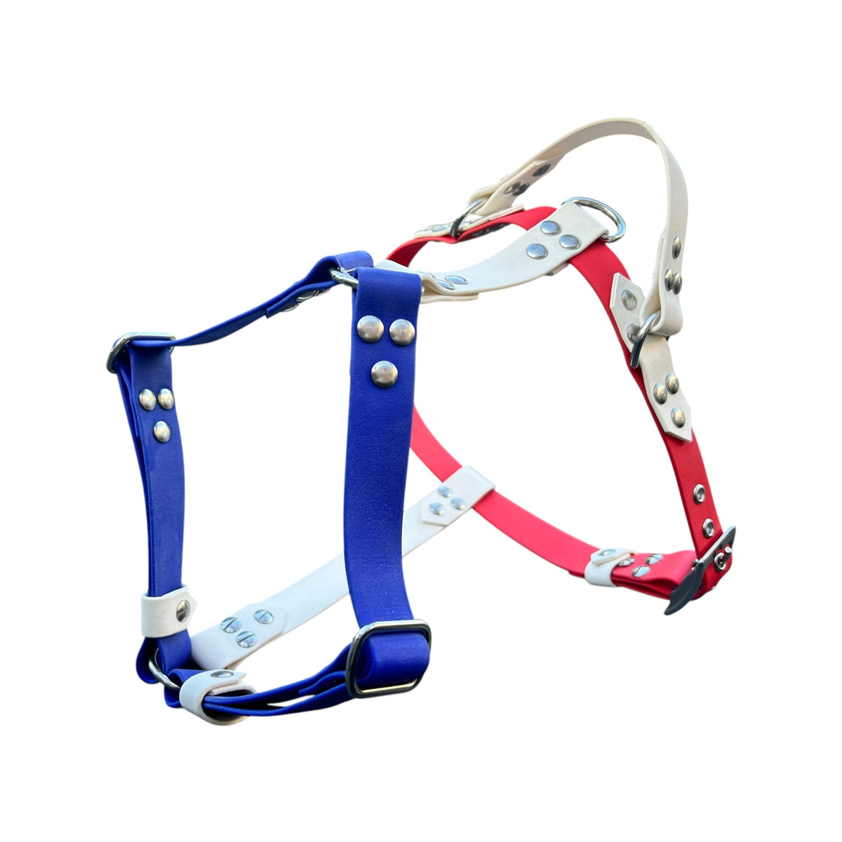 Harnais personnalisé pour chien, tricolore en biothane
